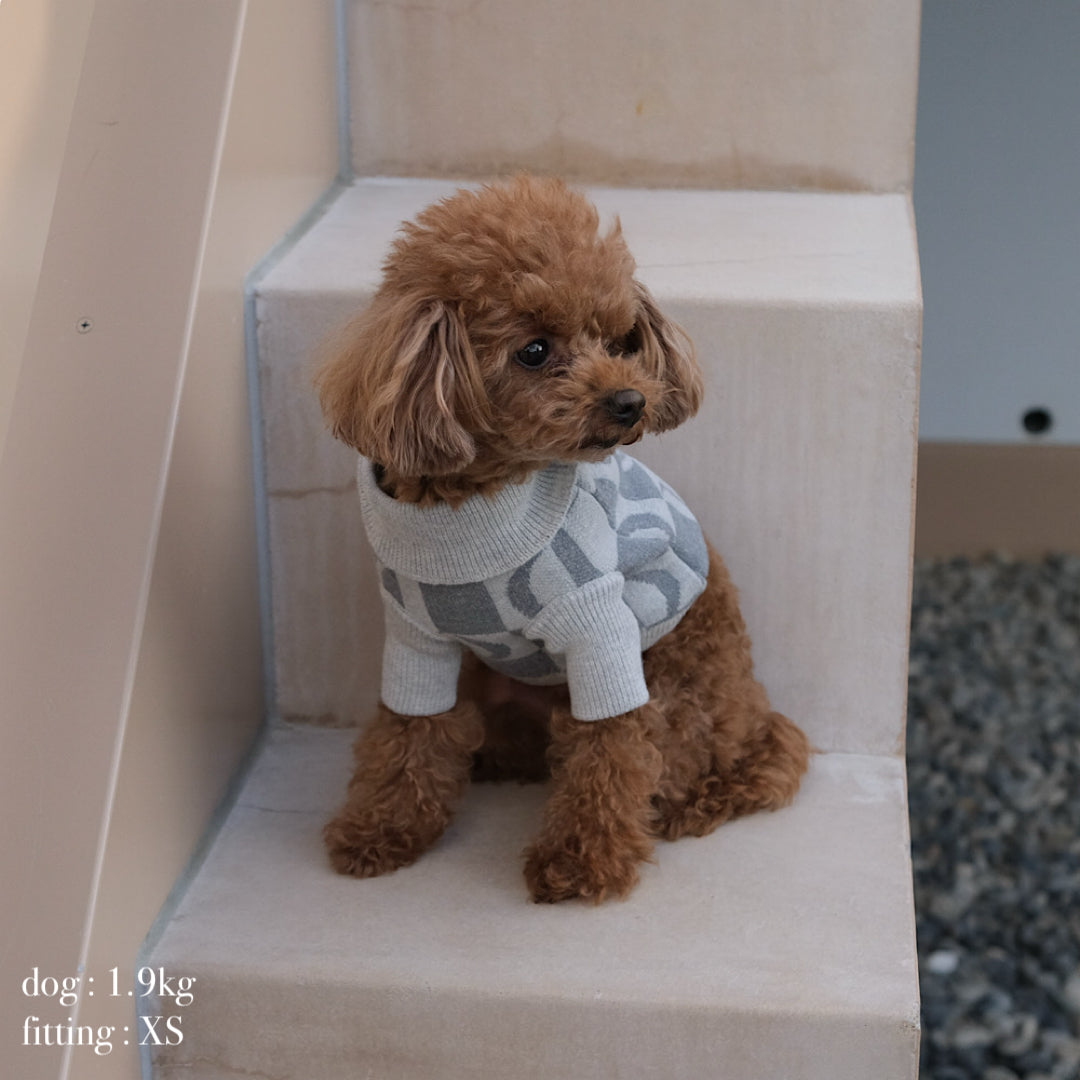 PATTERN JAGGARD DOG WEAR