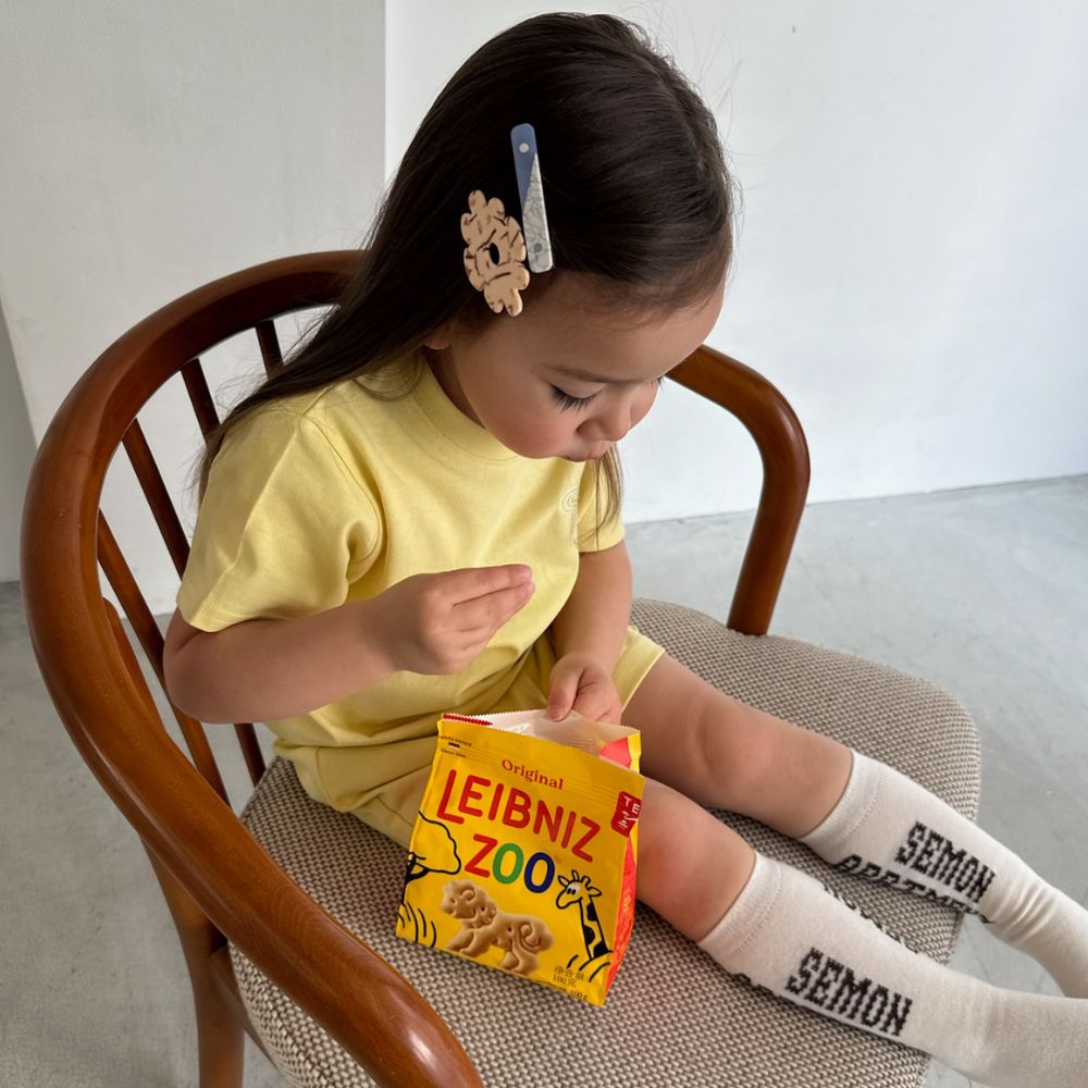 26SS 2SET ACRYLIC HAIR CLIP