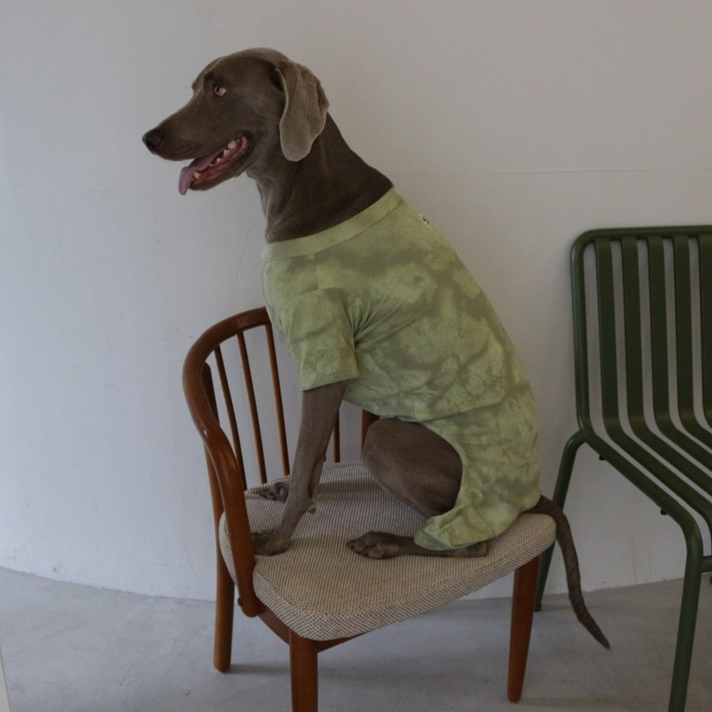 DOG TIEDYE ROMPERS