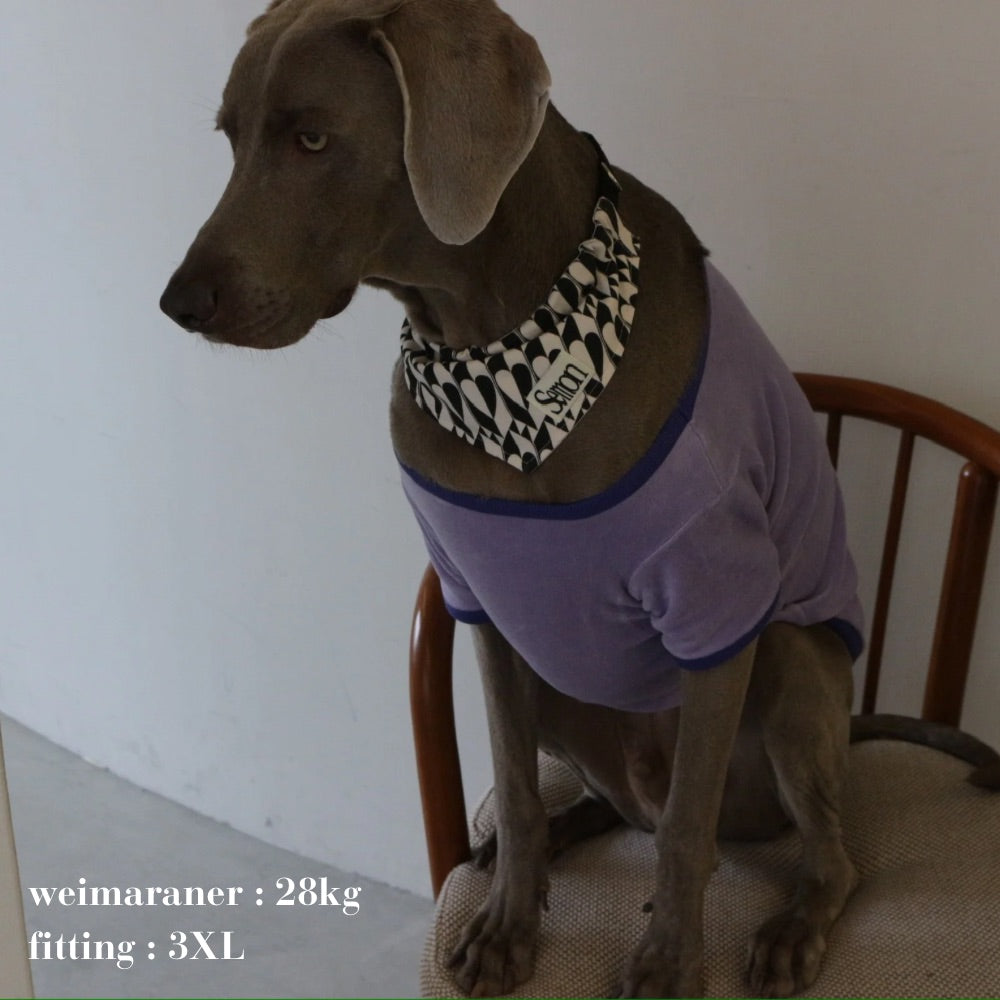 VELOUR DOG WEAR