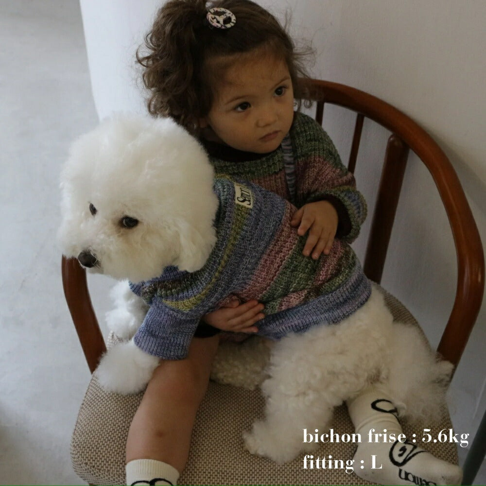 MIXED BORDER KNIT DOG WEAR