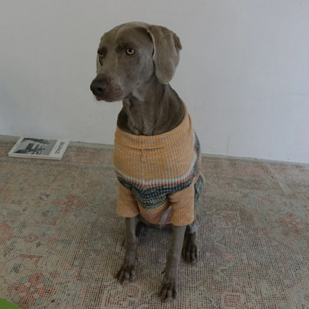 MIXED BORDER KNIT DOG WEAR
