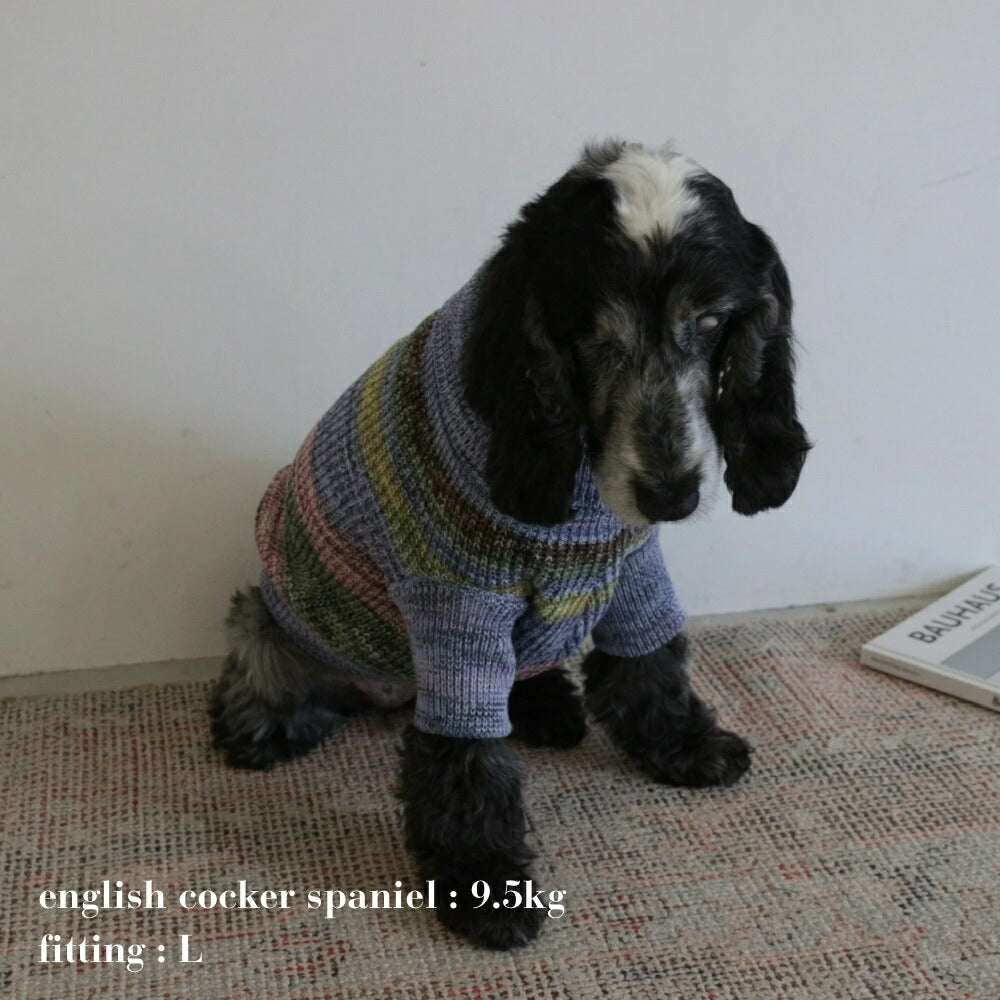 MIXED BORDER KNIT DOG WEAR