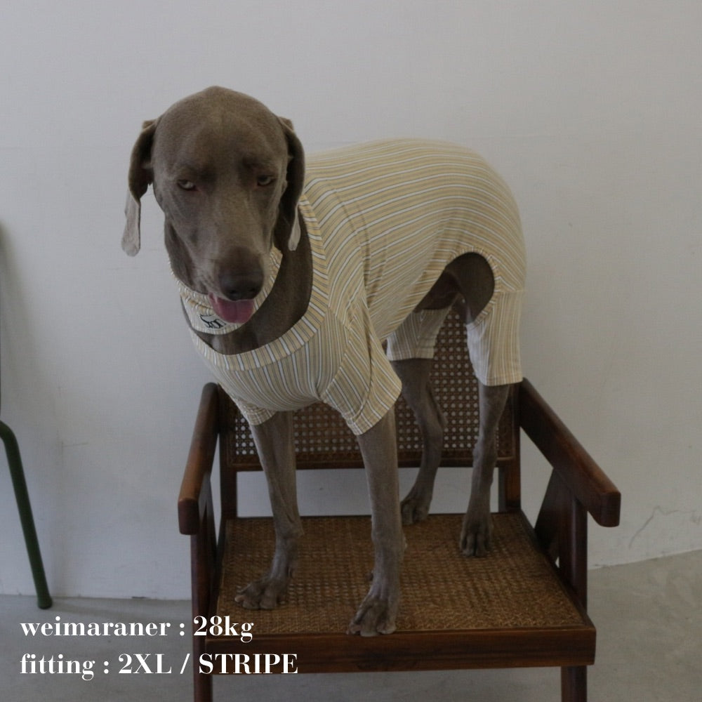 PATTERN DOG ROMPERS