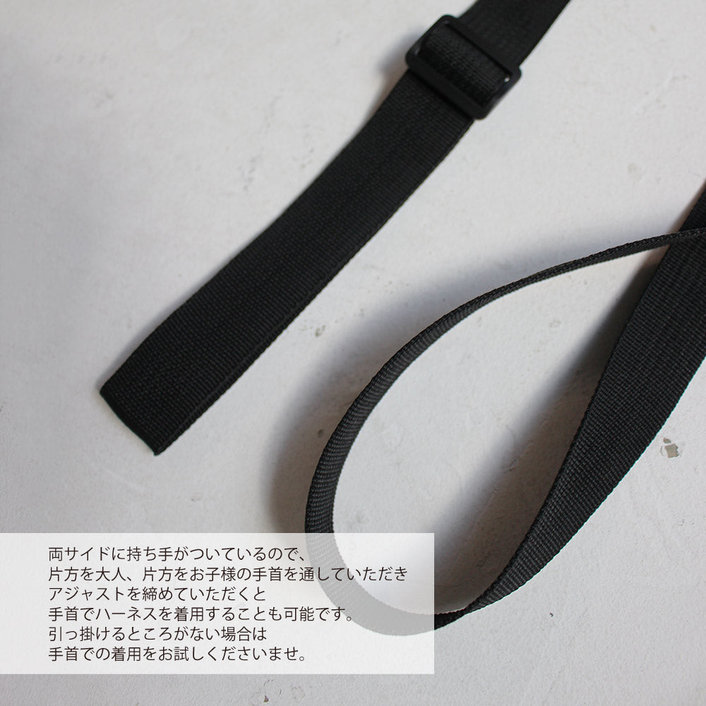 LEAD