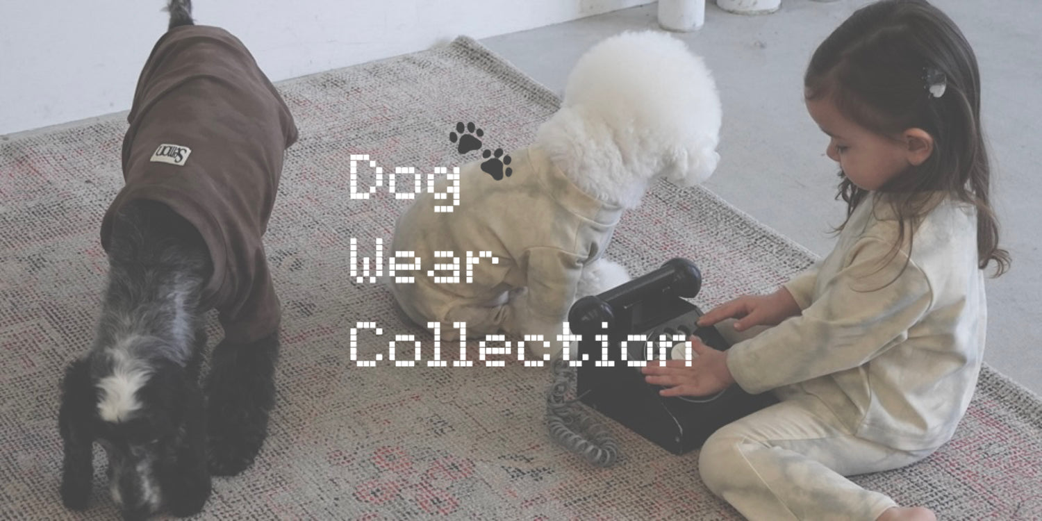 DOG WEAR