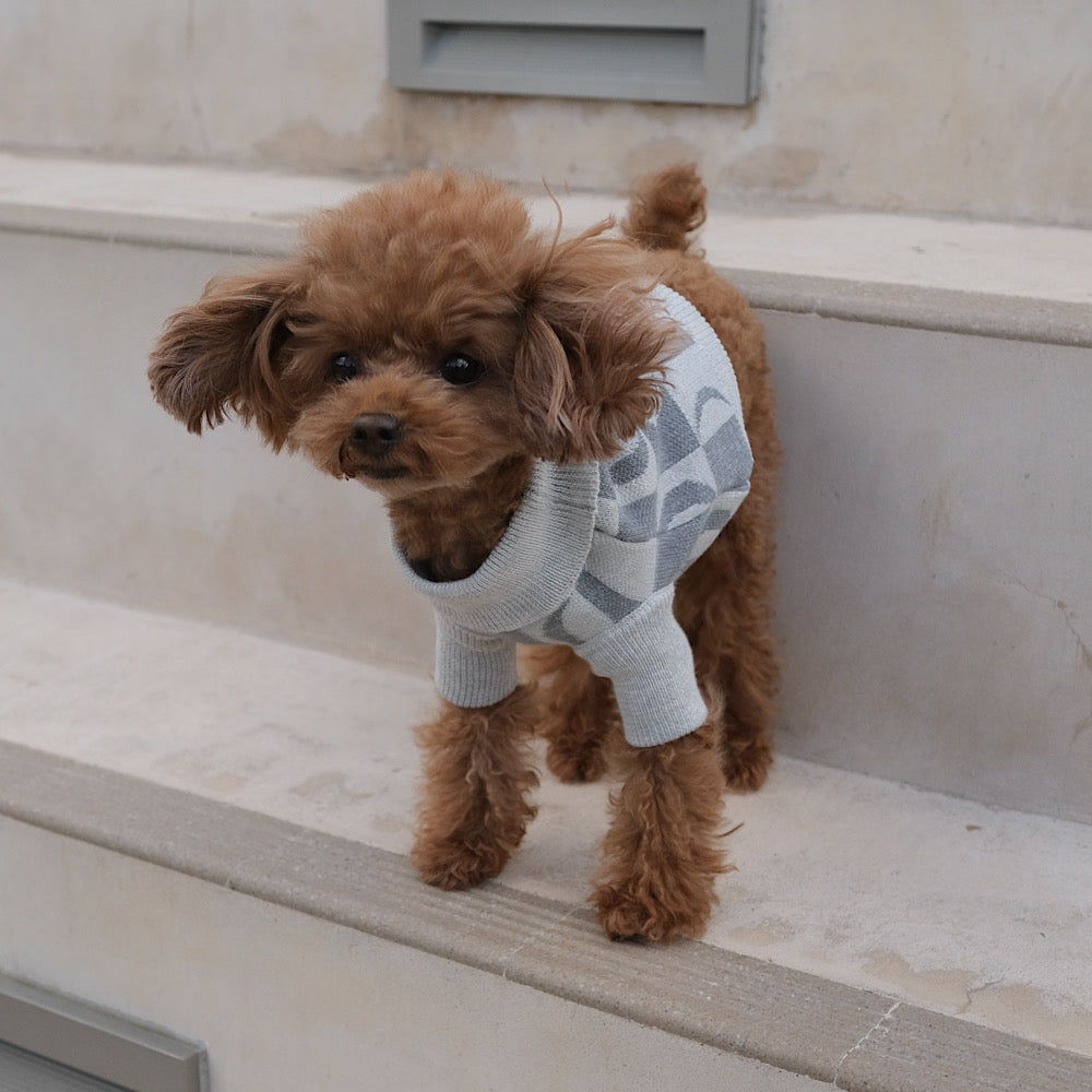 PATTERN JAGGARD DOG WEAR