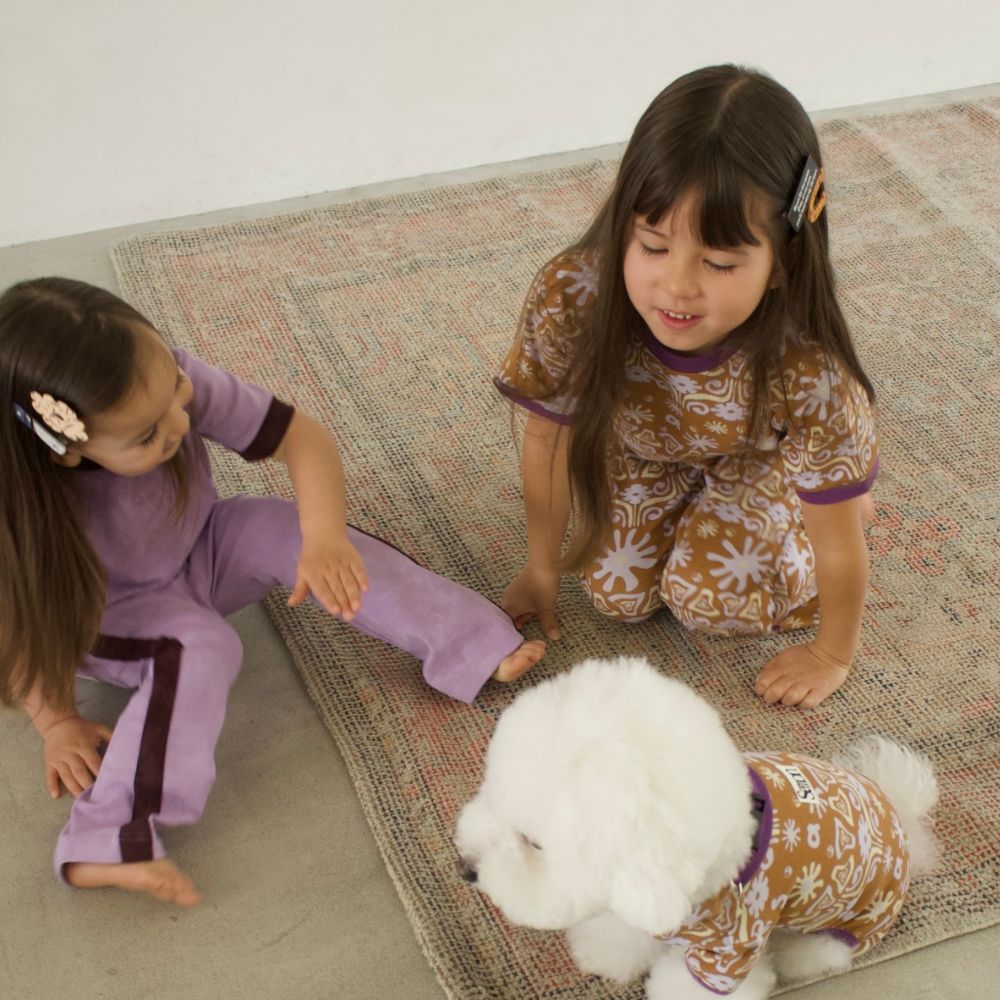 26SS 2SET ACRYLIC HAIR CLIP