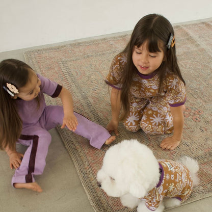 26SS 2SET ACRYLIC HAIR CLIP