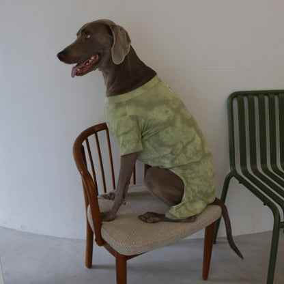 DOG TIEDYE ROMPERS
