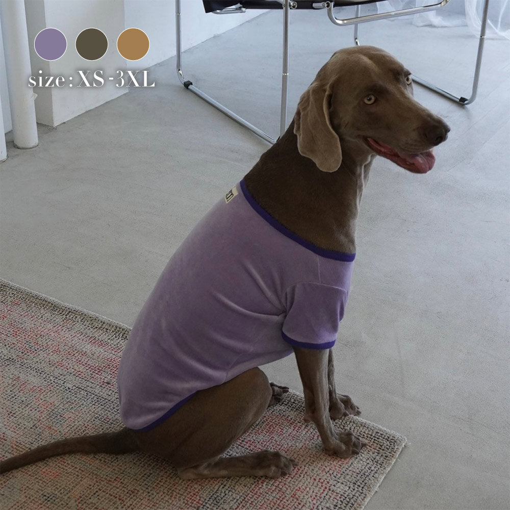 VELOUR DOG WEAR
