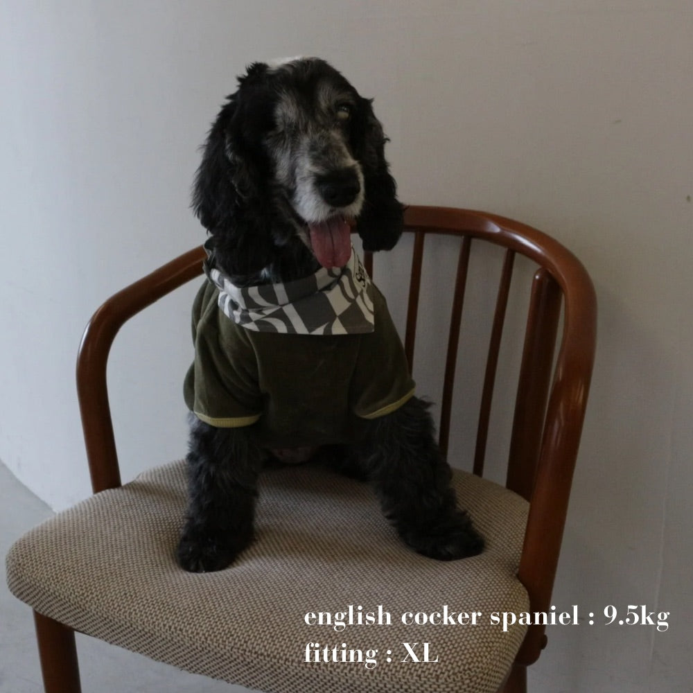 VELOUR DOG WEAR