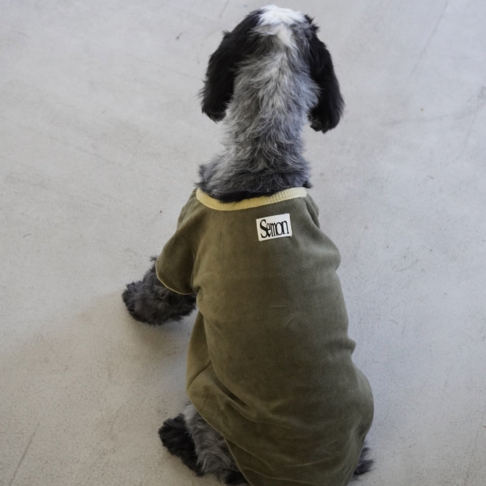VELOUR DOG WEAR