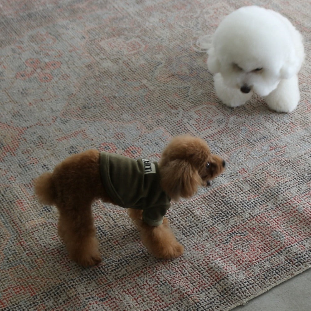 VELOUR DOG WEAR