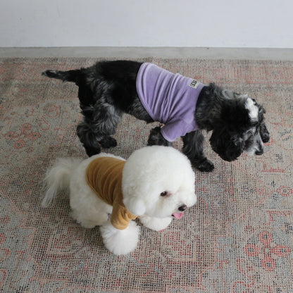 VELOUR DOG WEAR