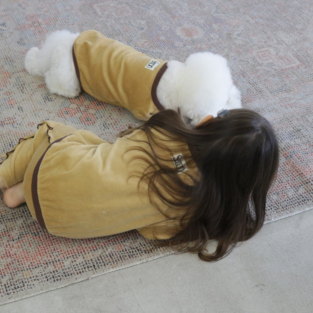 VELOUR DOG WEAR