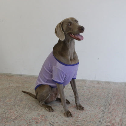 VELOUR DOG WEAR