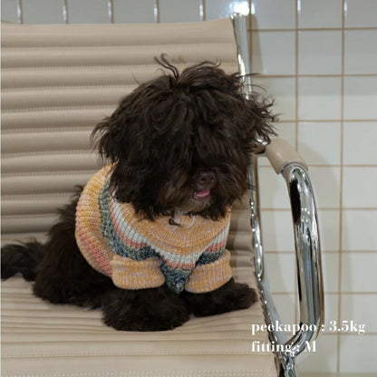 MIXED BORDER KNIT DOG WEAR