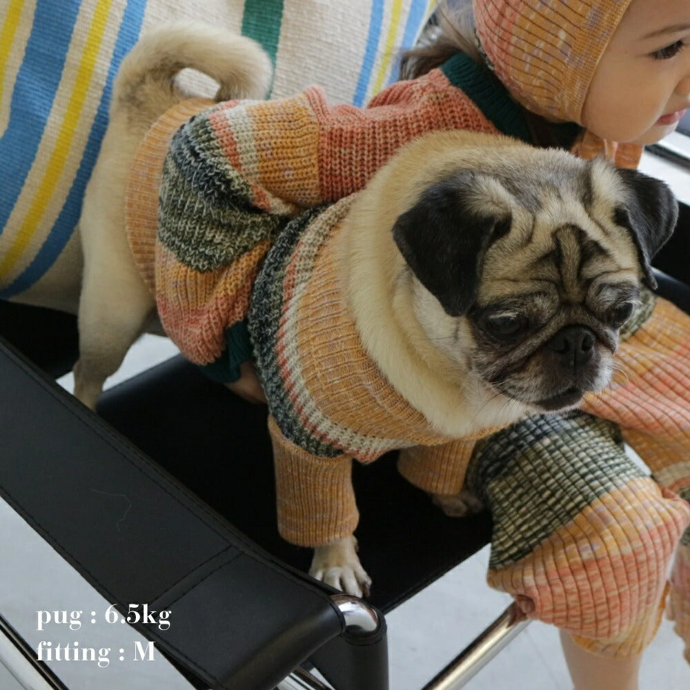MIXED BORDER KNIT DOG WEAR