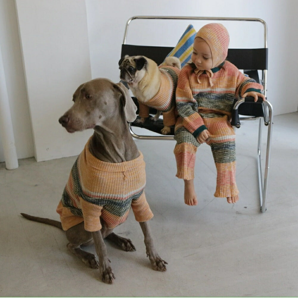 MIXED BORDER KNIT DOG WEAR