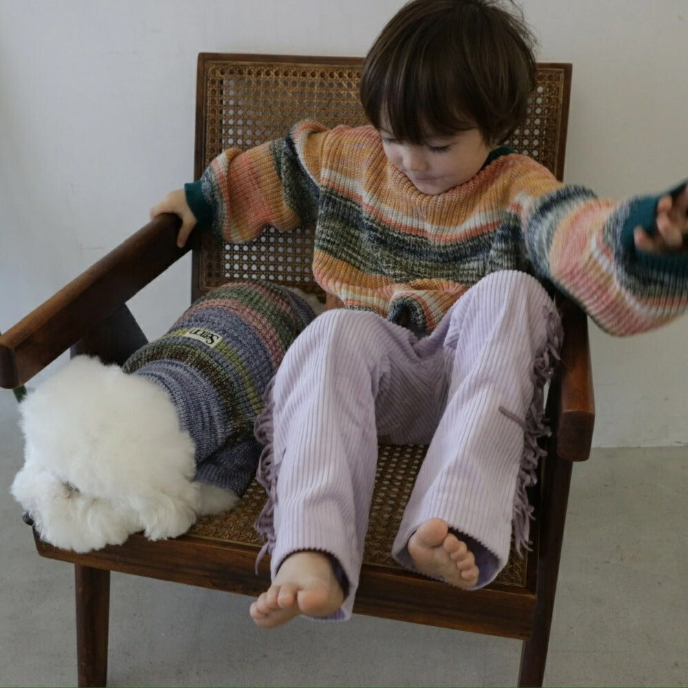 MIXED BORDER KNIT DOG WEAR