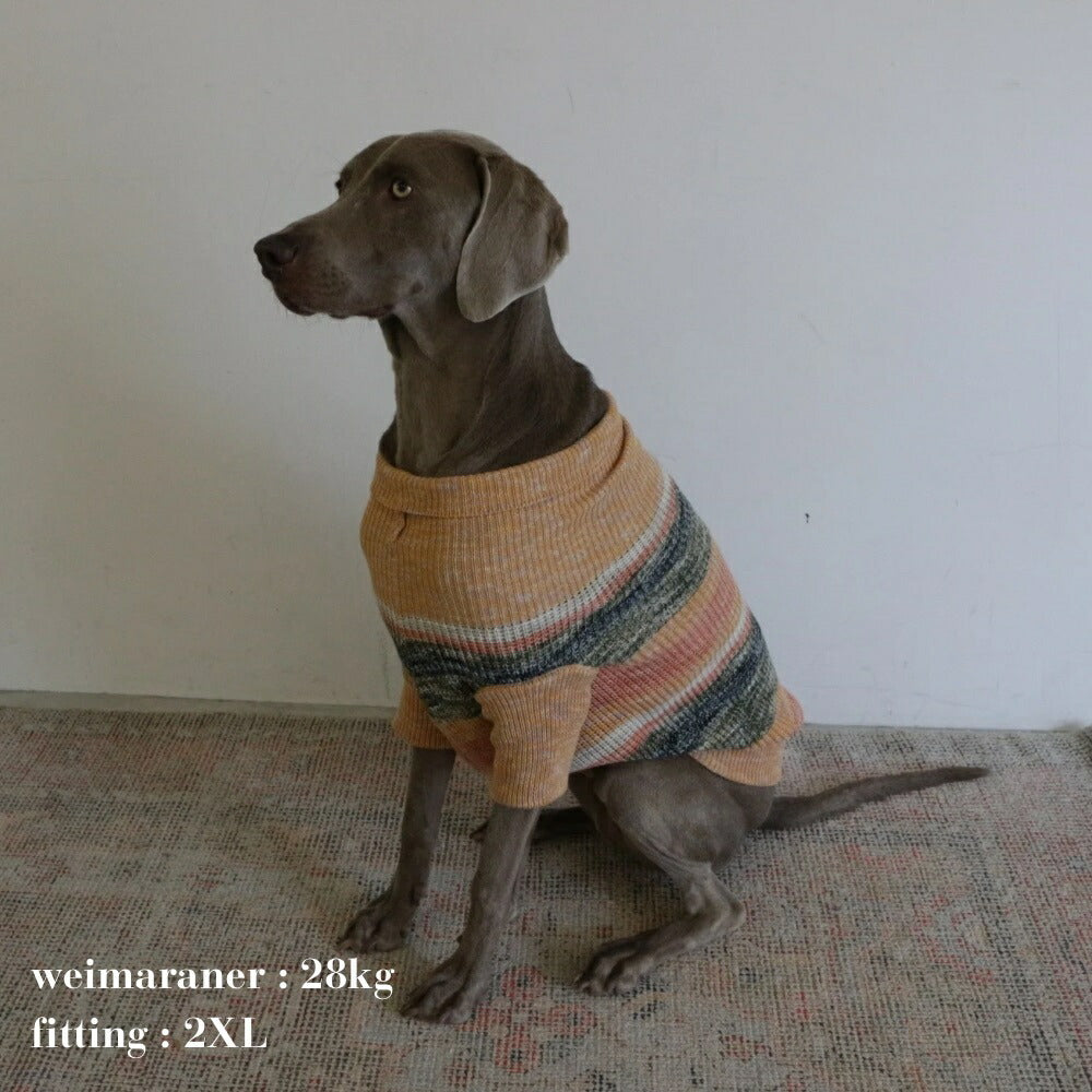 MIXED BORDER KNIT DOG WEAR