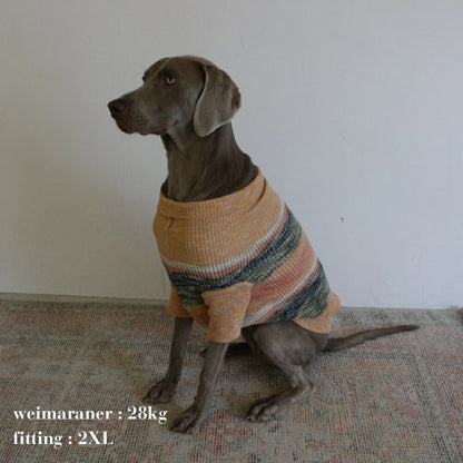 MIXED BORDER KNIT DOG WEAR