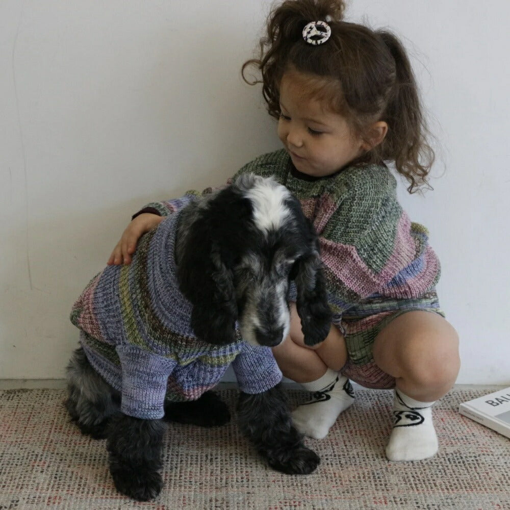 MIXED BORDER KNIT DOG WEAR