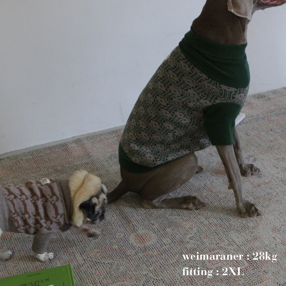 PATTERN JAGGARD DOG WEAR