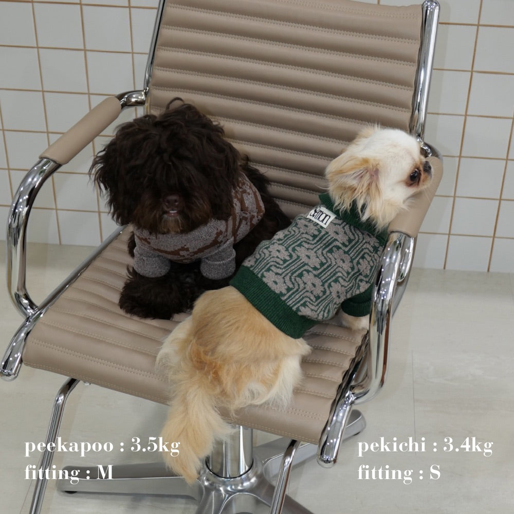 PATTERN JAGGARD DOG WEAR