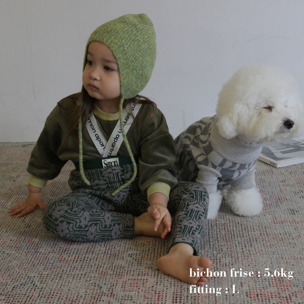 PATTERN JAGGARD DOG WEAR