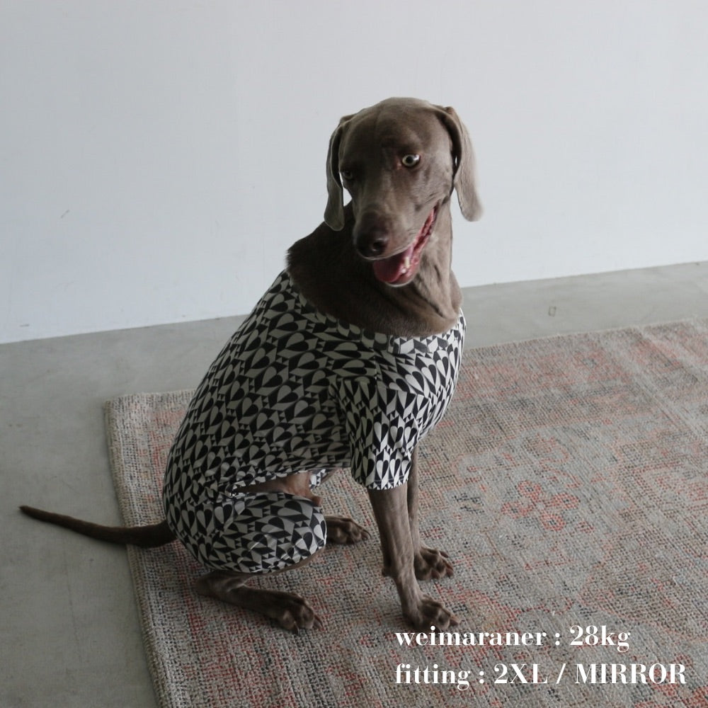 PATTERN DOG ROMPERS