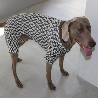 PATTERN DOG ROMPERS