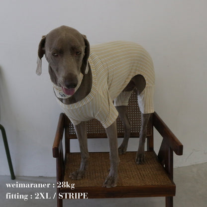 PATTERN DOG ROMPERS