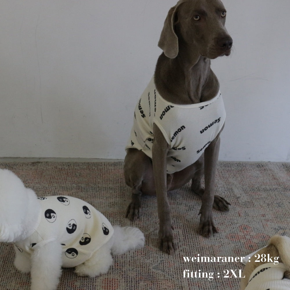 WAFFLE PRINT DOG WEAR