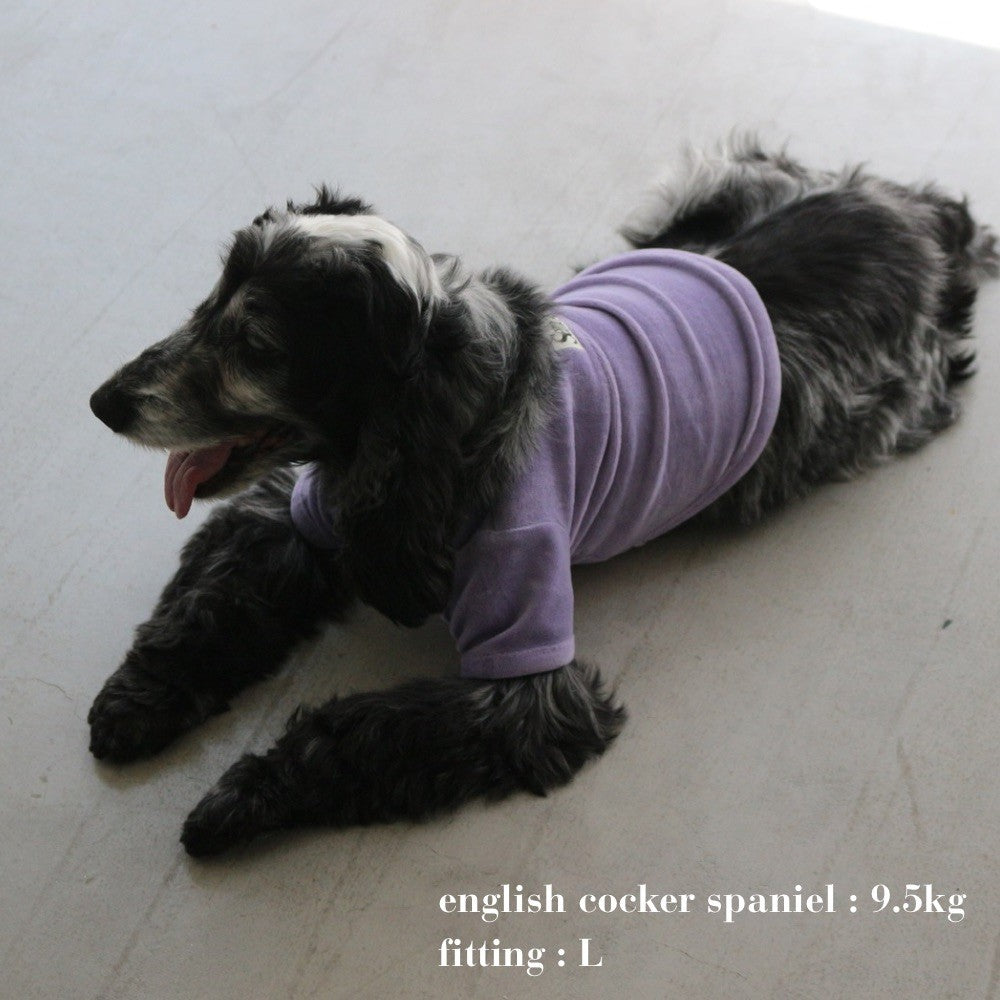 VELOUR DOG WEAR