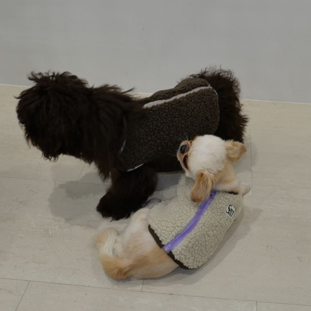 DOG BOA VEST
